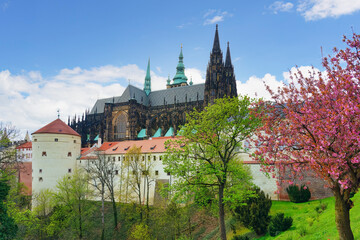 Prague castle, Cathedral and Powder Tower, Prague, Czech Republic