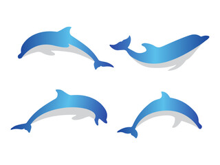 dolphin logo design vector illustration