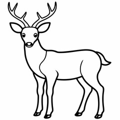 deer vector design 