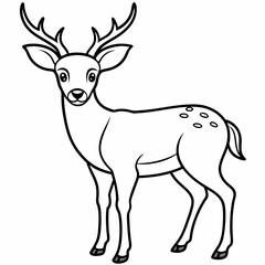 deer vector design 