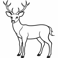 deer vector design 