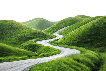Curved Road Through Green Rolling Hills