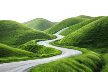 Curved Road Through Green Rolling Hills
