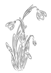 Elements illustration stamp decoration plant flower