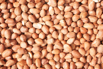 Close-up of a pile full of peanuts