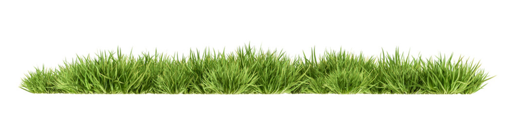Front view green grass row isolated on white background