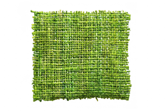 Green Fabric Swatch