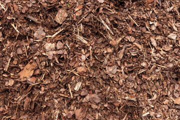Fototapeta premium Natural bark mulch, brown wood chips