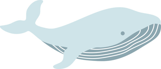 Whale Vector Illustration 