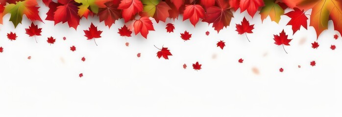 Banner Abstract flowing waves with red maples on white background with beautiful bokeh and with copy space 