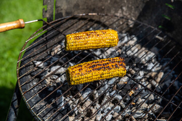 Maiskolben zubereitet auf einem Grill Gold gelb Close up