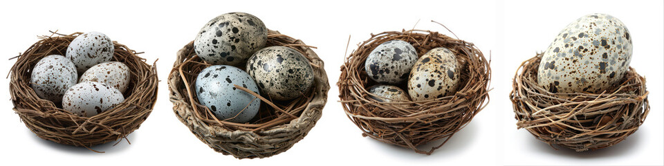 Obraz premium Four nests with speckled eggs arranged in a row, showcasing various patterns and textures in a natural setting.
