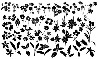 black decorative flowers and leaves
