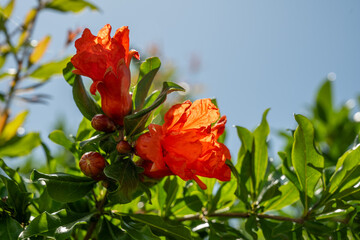 Albania a natural jewel on the Balkan
