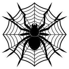 Obraz premium spider, web, halloween, insect, vector, illustration