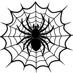 Fototapeta premium spider, web, halloween, insect, vector, illustration
