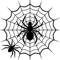 Fototapeta premium spider, web, halloween, insect, vector, illustration