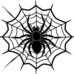 Obraz premium spider, web, halloween, insect, vector, illustration