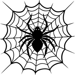 spider, web, halloween, insect, vector, illustration