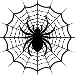 Fototapeta premium spider, web, halloween, insect, vector, illustration