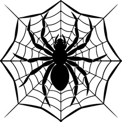 Fototapeta premium spider, web, halloween, insect, vector, illustration
