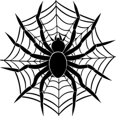 Obraz premium spider, web, halloween, insect, vector, illustration