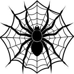 Obraz premium spider, web, halloween, insect, vector, illustration