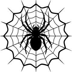 Fototapeta premium spider, web, halloween, insect, vector, illustration