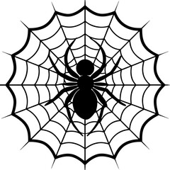 Fototapeta premium spider, web, halloween, insect, vector, illustration