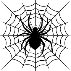 Fototapeta premium spider, web, halloween, insect, vector, illustration