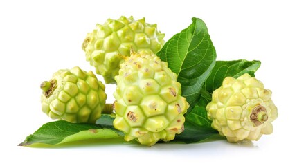 Fototapeta premium Noni or Morinda Citrifolia fruits isolated on white background Rubiaceae Noni great morinda indian mulberry