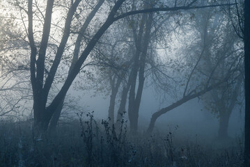 Fog on a small river on an autumn morning, natural background.