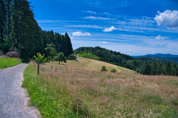 Auf dem Hahn und Henne Wanderweg bei Nordrach im Schwarzwald