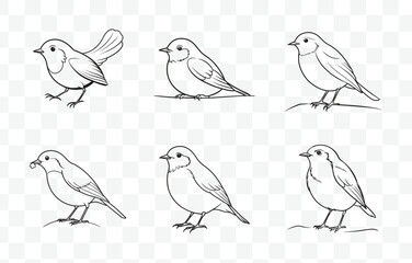 Print Robin Line Art Vector Set with Detailed and Elegant Designs for Creative Projects