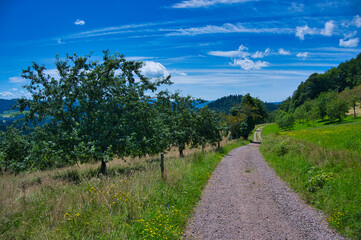 Auf dem Hahn und Henne Wanderweg bei Nordrach im Schwarzwald