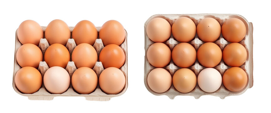 Top view of two dozen fresh brown eggs in cartons. Perfect for culinary uses and food photography. Isolated on a white background.