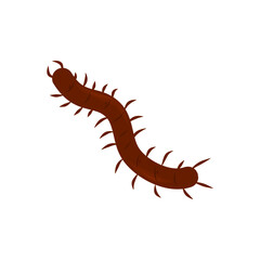 Centipede Vector Illustration