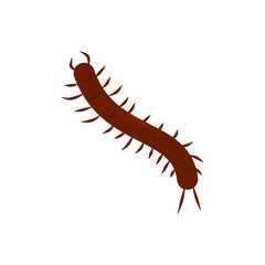 Centipede Vector Illustration