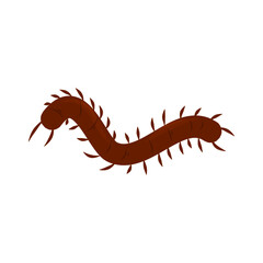 Centipede Vector Illustration