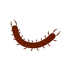 Centipede Vector Illustration