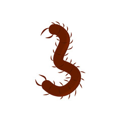 Centipede Vector Illustration