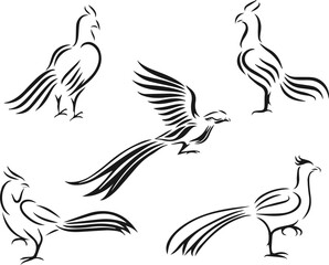 set of birds