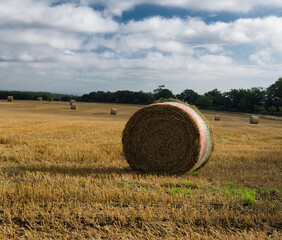 single bale of hay in a English field