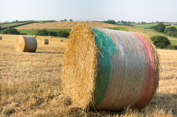 Round Straw Bale With Netting in an English field