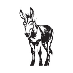 Donkey Vector Images. Black and white Donkey image isolated on white background