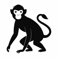 A Monkey silhouette vector illustration