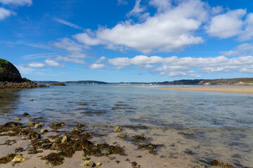 Algues brunes flottant dans des eaux transparentes, sous un ciel bleu parsemé de nuages blancs, sur la presqu'île de Crozon en Bretagne.