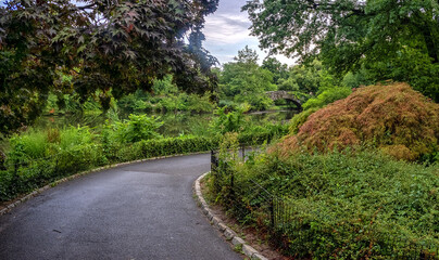 Gapstow Bridge in Central Park