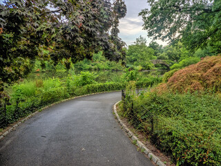 Gapstow Bridge in Central Park