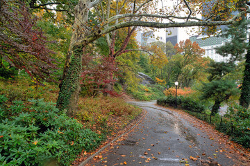 Naklejka premium Autumn in Central Park